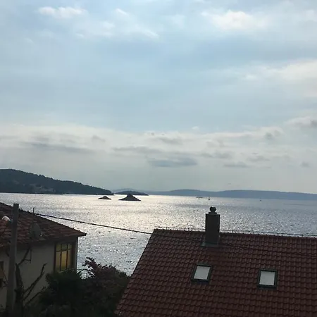 Vlatino Seget Vranjica